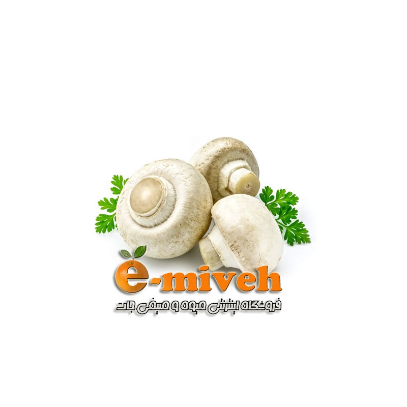 قارچ