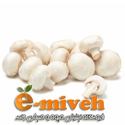 قارچ