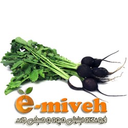 ترب سیاه