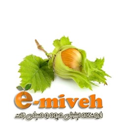 فندق تازه