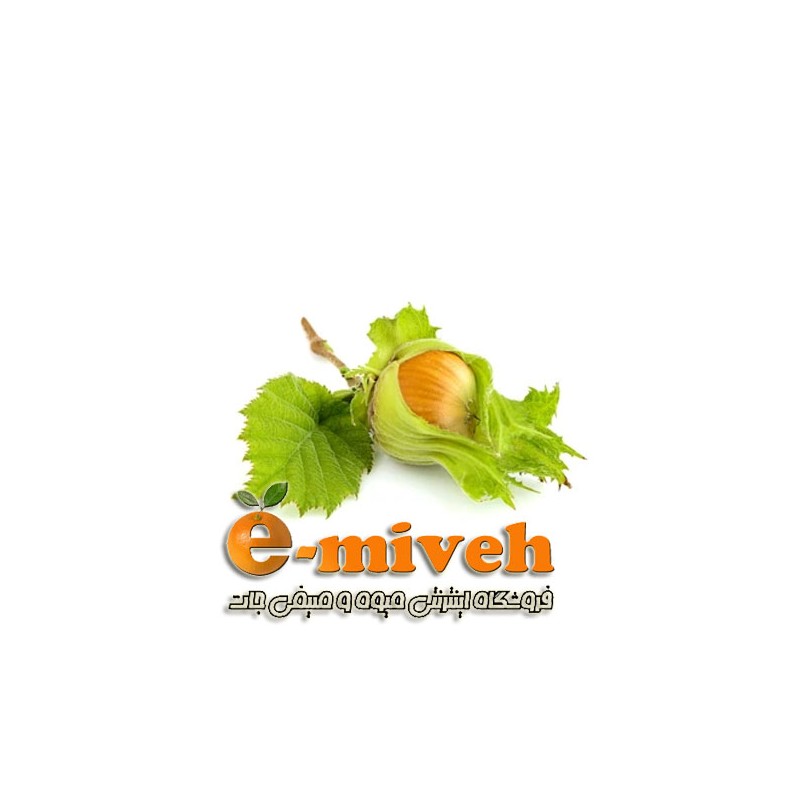فندق تازه