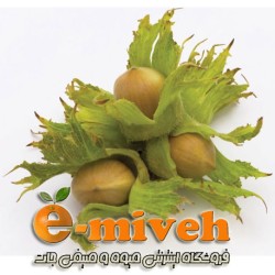 فندق تازه