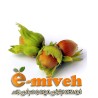 فندق تازه