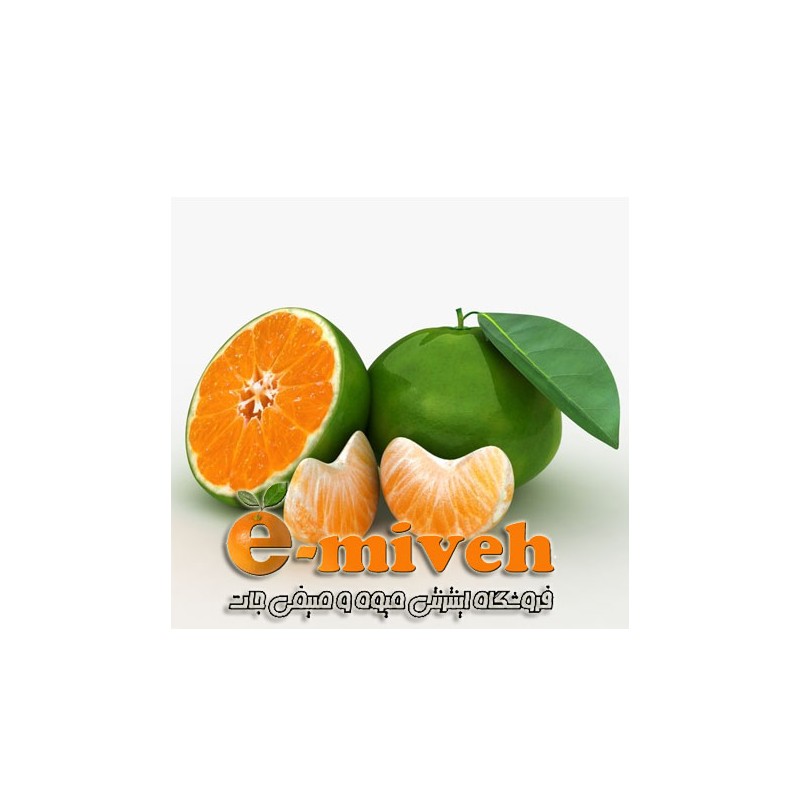 ماگ امروز یک روز خوب است