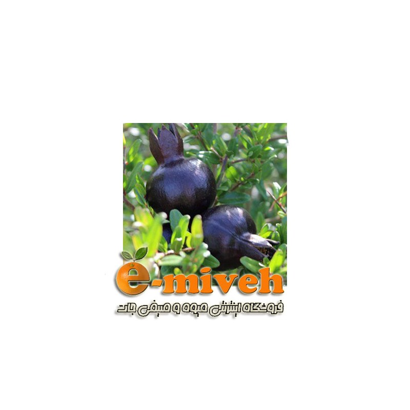 انار سیاه