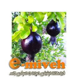 انار سیاه