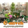 هفت سین سیب شیشه ای