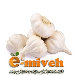 سیر خشک