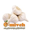 سیر خشک