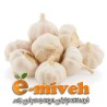 سیر خشک