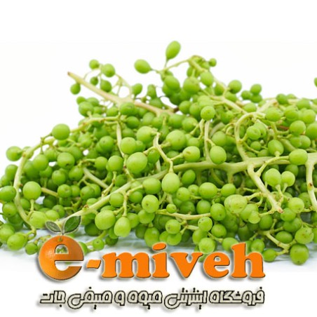 سویشرت طرح زرین بال