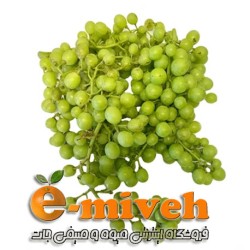 سویشرت طرح زرین بال