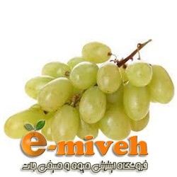 پرتقال تو سرخ