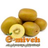 کیوی طلائی