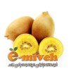کیوی طلائی
