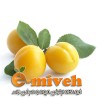 آلو قطره طلا
